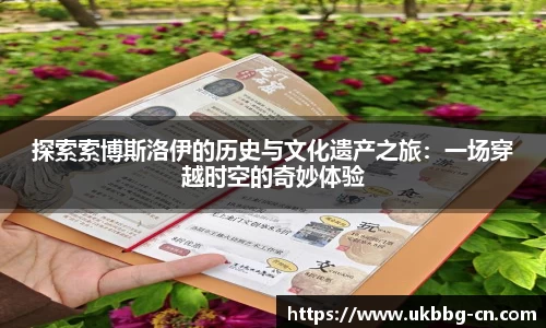 探索索博斯洛伊的历史与文化遗产之旅：一场穿越时空的奇妙体验